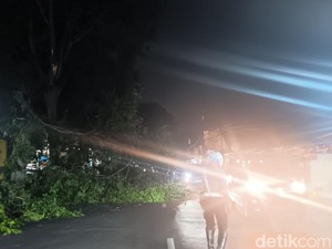 Pohon Tumbang Halangi Jalan di Kelapa Dua Depok, Lalin Macet
