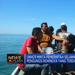 Video: UNHCR Minta Pemerintah RI Selamatkan Pengungsi Rohingya di Aceh