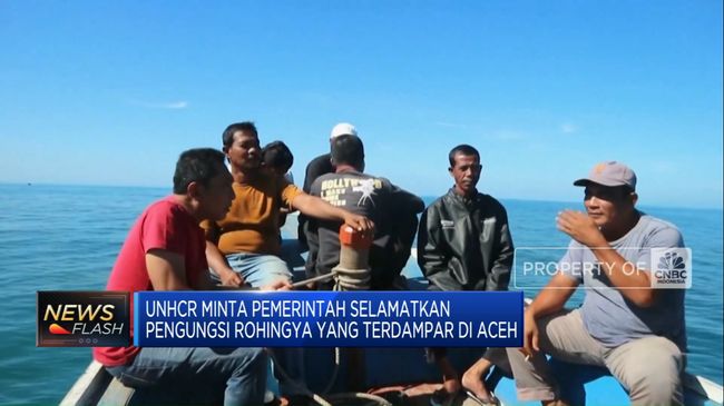 Video: UNHCR Minta Pemerintah RI Selamatkan Pengungsi Rohingya di Aceh