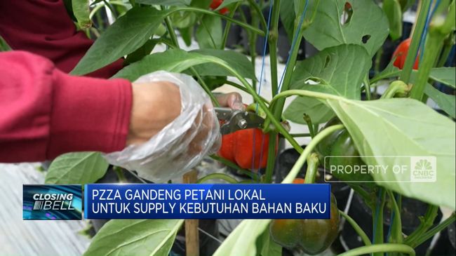 Video: Dukung Ketahanan Pangan, PZZA Gandeng 100 Petani Lokal