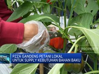 Video: Dukung Ketahanan Pangan, PZZA Gandeng 100 Petani Lokal