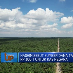 Video: Hashim Sebut Ada Tambahan Rp 300 T Untuk Kas Negara