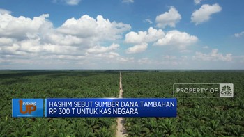 Video: Hashim Sebut Ada Tambahan Rp 300 T Untuk Kas Negara