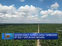 Video: Hashim Sebut Ada Tambahan Rp 300 T Untuk Kas Negara
