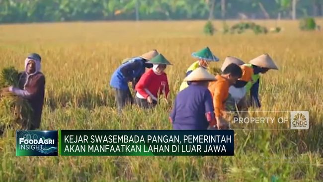 Video: Kejar Swasembada Pangan, Ini Rencana Zulkifli Hasan!