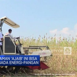 Video: Malapetaka Buruh Tekstil - Putin Kirim Pasukan Khusus Nuklir