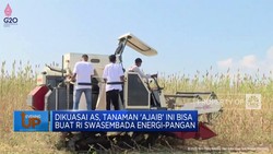 Video: Malapetaka Buruh Tekstil - Putin Kirim Pasukan Khusus Nuklir