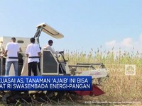 Video: Malapetaka Buruh Tekstil - Putin Kirim Pasukan Khusus Nuklir