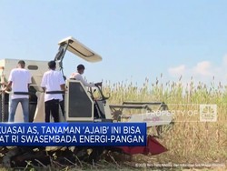 Video: Malapetaka Buruh Tekstil - Putin Kirim Pasukan Khusus Nuklir