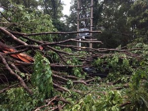 Puting Beliung Terjang Muara Enim, Pohon Tumbang hingga Akses Jalan Tertutup