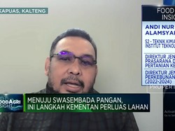 Video: Prabowo Mau Cetak 3 Juta Hektar Lahan Sawah, Gimana Caranya?