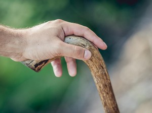 Mengenal Tongkat Nabi Sulaiman yang Disebut Mampu Kendalikan Jin