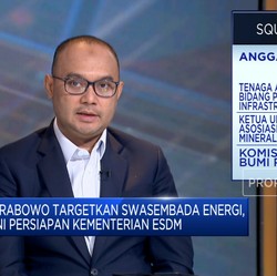 Dua BUMN Besar RI Harus Klop Demi Swasembada Energi
