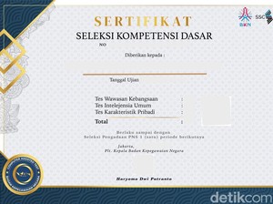 Jadwal Pengumuman Hasil SKD CPNS 2024, Catat!