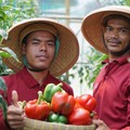40 Tahun Hadir, Pizza Hut Indonesia Bawa Keuntungan Buat Petani Lokal