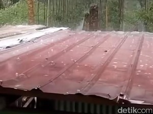Hujan Es-Pohon Tumbang Terjadi di Pagar Alam, BMKG Minta Warga Waspada