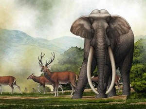 Arkeolog Ungkap Tengkorak Mamalia Terbesar di Bumi, Benarkah Gajah Purba Raksasa?