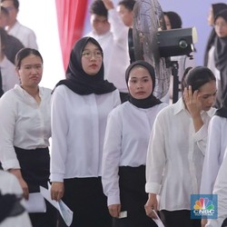 Banyak Honorer Calon PPPK Diberhentikan, Kementerian PANRB Buka Suara