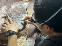 Mengejutkan! Ahli Temukan Fosil Dinosaurus di Pulau Terpencil