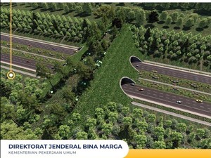 Jembatan Khusus Satwa Dibangun Dekat Tol IKN