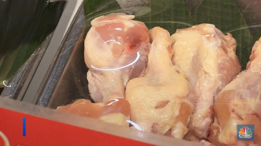 Pasti Murah! Ayam Broiler di Transmart Banting Harga