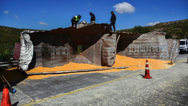 Pihak berwenang bekerja di lokasi kecelakaan bus penumpang di mana beberapa orang tewas dan lainnya terluka saat melakukan perjalanan di jalan raya dari Nayarit ke Chihuahua, di Piedra Gorda, Meksiko, 26 Oktober 2024. (REUTERS/Edgar Chavez)