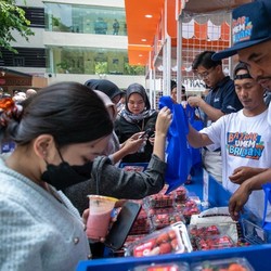 Mengecap Manisnya Bisnis Stroberi dengan Pemberdayaan BRI