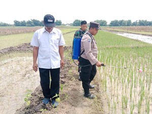 Brigadir Mustofa Ingin Pupuk Organik Makin Variatif untuk Solusi Masalah Petani