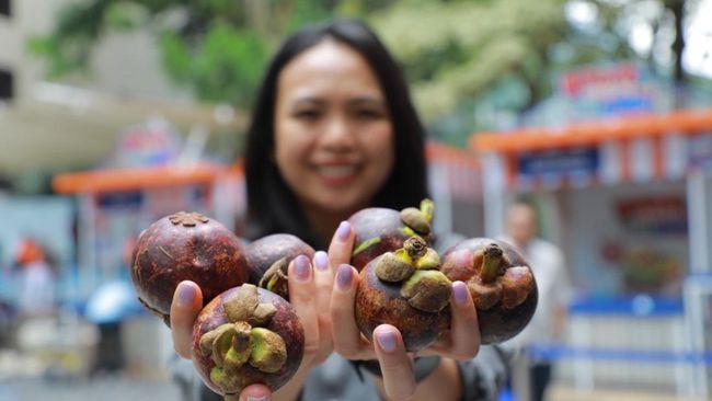 BRI Dorong Klaster Usaha Manggis di Bali Perluas Jaringan Pemasaran