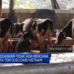 Video: Kementan: Tak Ada Rencana Impor 1,8 Juta Ton Susu dari Vietnam