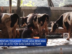 Video: Kementan: Tak Ada Rencana Impor 1,8 Juta Ton Susu dari Vietnam