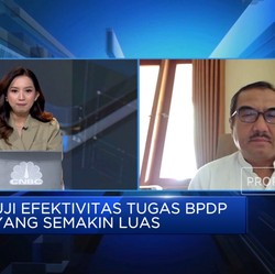 Video:Pengelola Dana Sawit BPDPKS Diubah Jadi BPDP, Ini Kata Pengusaha
