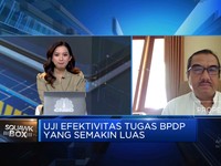 Video:Pengelola Dana Sawit BPDPKS Diubah Jadi BPDP, Ini Kata Pengusaha