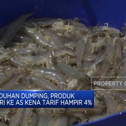 Video: Produk Udang RI ke AS Kena Tarif Hampir 4%
