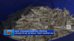 Video: Produk Udang RI ke AS Kena Tarif Hampir 4%