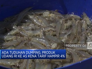 Video: Produk Udang RI ke AS Kena Tarif Hampir 4%