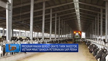 Tertarik Program MBG, Vietnam Mau Bangun Peternakan Sapi Perah