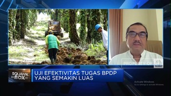 Video: Tugasnya Diperluas Dari Sawit-Kelapa, Kerja BPDP Bisa Efektif?