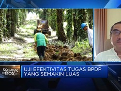 Video: Tugasnya Diperluas Dari Sawit-Kelapa, Kerja BPDP Bisa Efektif?