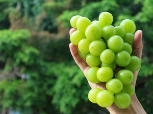 Fakta-fakta Hasil Uji Anggur Muscat di 6 Kota dan Jabodetabek, Dipastikan Aman!