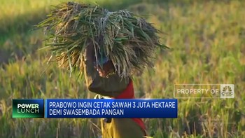 Video: Demi Swasembada Pangan, Prabowo Cetak Sawah 3 Juta Hektare