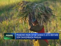 Video: Demi Swasembada Pangan, Prabowo Cetak Sawah 3 Juta Hektare
