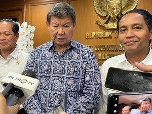 Kata Hashim soal Sawah Pantura Tenggelam Jika Tak Ada Tanggul Raksasa