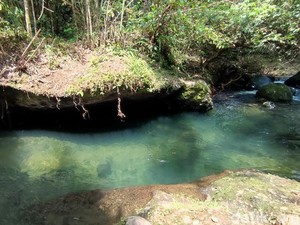 Destinasi Tersembunyi di Ciamis, Leuwi Nanggung yang Masih Alami
