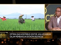 Video: Berdayakan Ekonomi, PNM Tebar Pembiayaan ke Nasabah Ibu-ibu