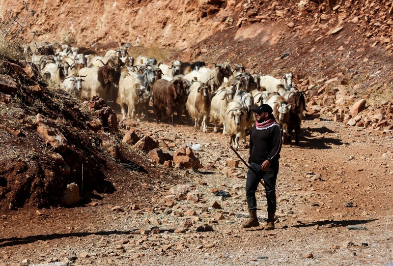 Lebih dari 100 ribu warga Lebanon telah melintasi perbatasan menuju Suriah dalam dua pekan terakhir, di tengah serangan Israel. (REUTERS/Mohamed Abd El Ghany)