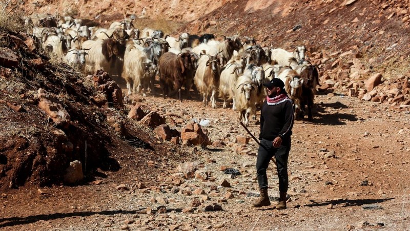 Lebih dari 100 ribu warga Lebanon telah melintasi perbatasan menuju Suriah dalam dua pekan terakhir, di tengah serangan Israel. (REUTERS/Mohamed Abd El Ghany)