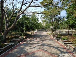Menikmati Sejuknya Hutan Kota Sumber di Tengah Panasnya Cuaca Cirebon