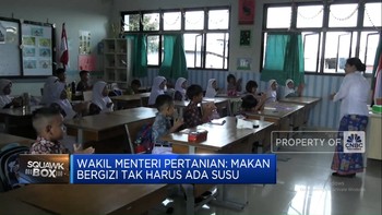 Video: Wakil Menteri Pertanian: Makan Bergizi Tak Harus Ada Susu