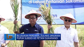 Blusukan Perdana, Zulhas Janjikan Pupuk Subsidi ke Petani Sukamandi